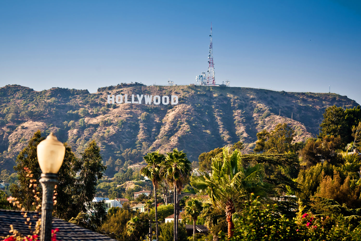 Los Angeles city